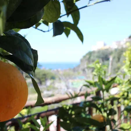 La Casetta Di * Vico Equense
