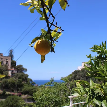 La Casetta Di