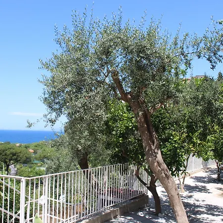 La Casetta Di *